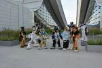 DSC_2317.JPG